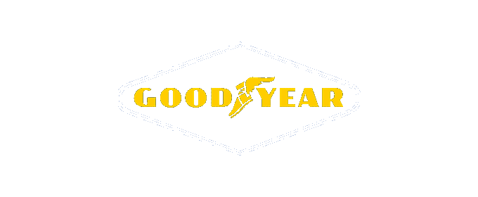Goodyear lastik — Primex Garage Denizli