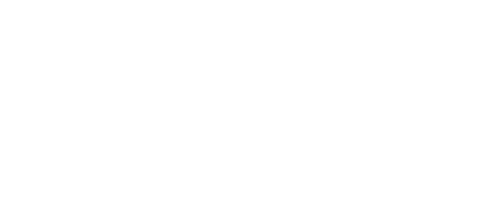 Nexen Tire lastik — Primex Garage Denizli